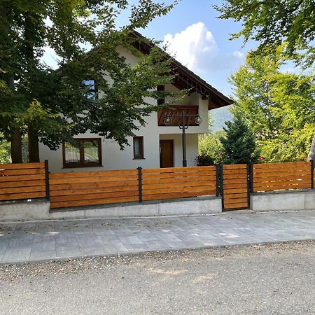 Casa De Vacanta Mogosa Baia-Sprie Luaran gambar