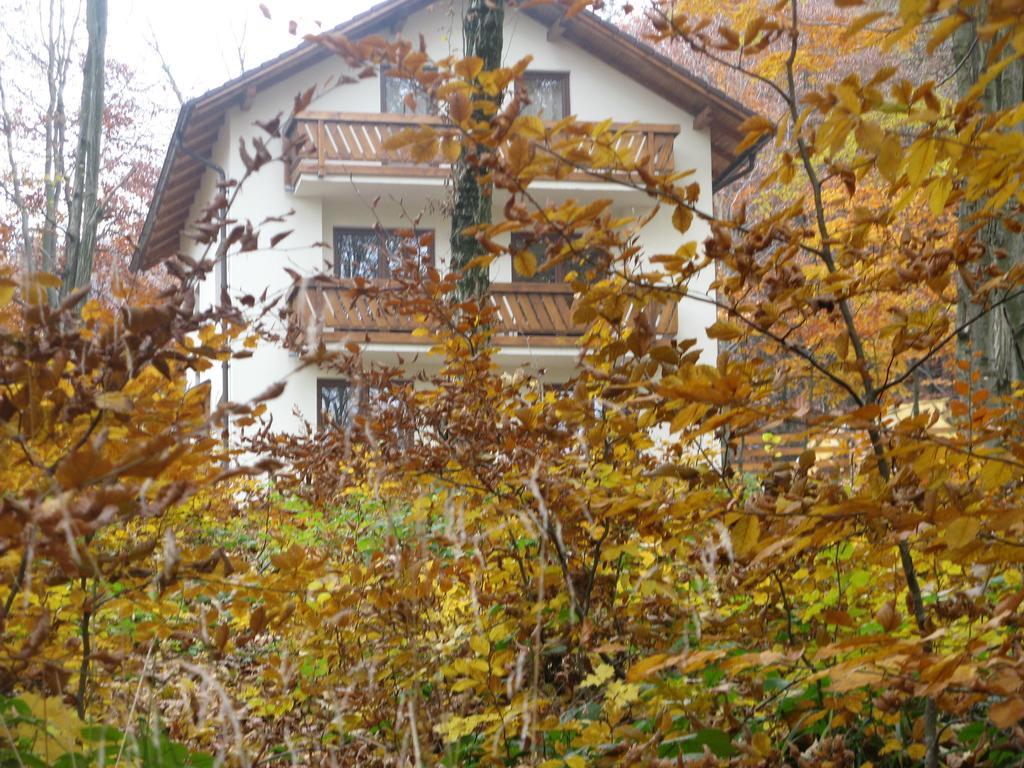 Casa De Vacanta Mogosa Baia-Sprie Luaran gambar