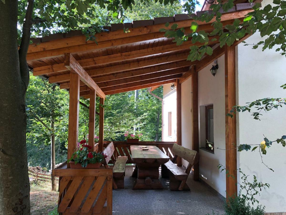 Casa De Vacanta Mogosa Baia-Sprie Luaran gambar